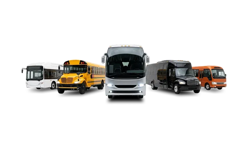 All Bus Types