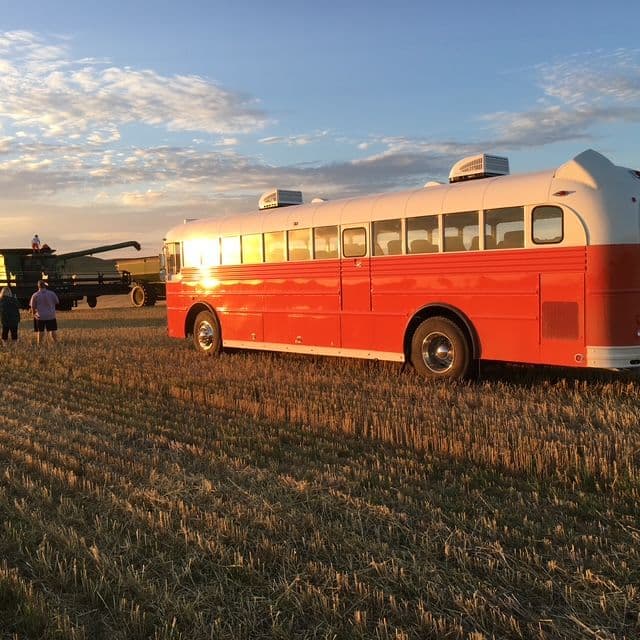 1975 Gillig 6360-13 bus