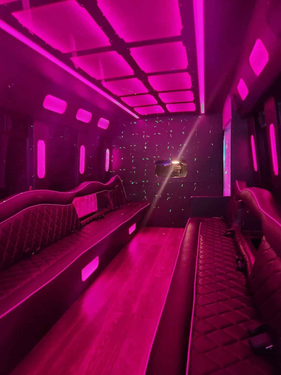 2014 Ford E450 Limo Bus - Image 10