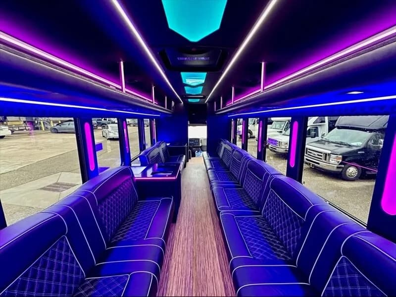 2014 IC Starcraft Limo Bus - Image 14