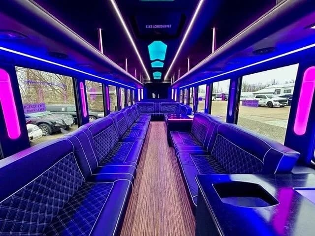 2014 IC Starcraft Limo Bus - Image 5