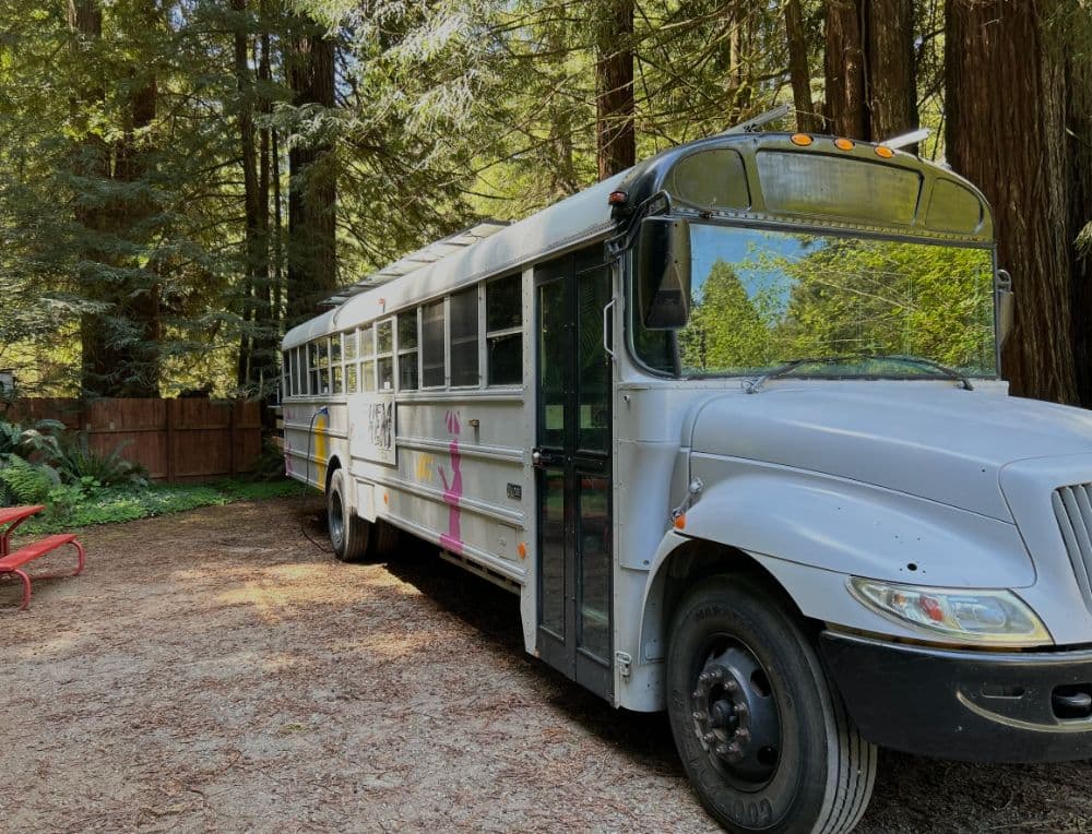 2006 International CE200 bus 2006 International CE200 bus