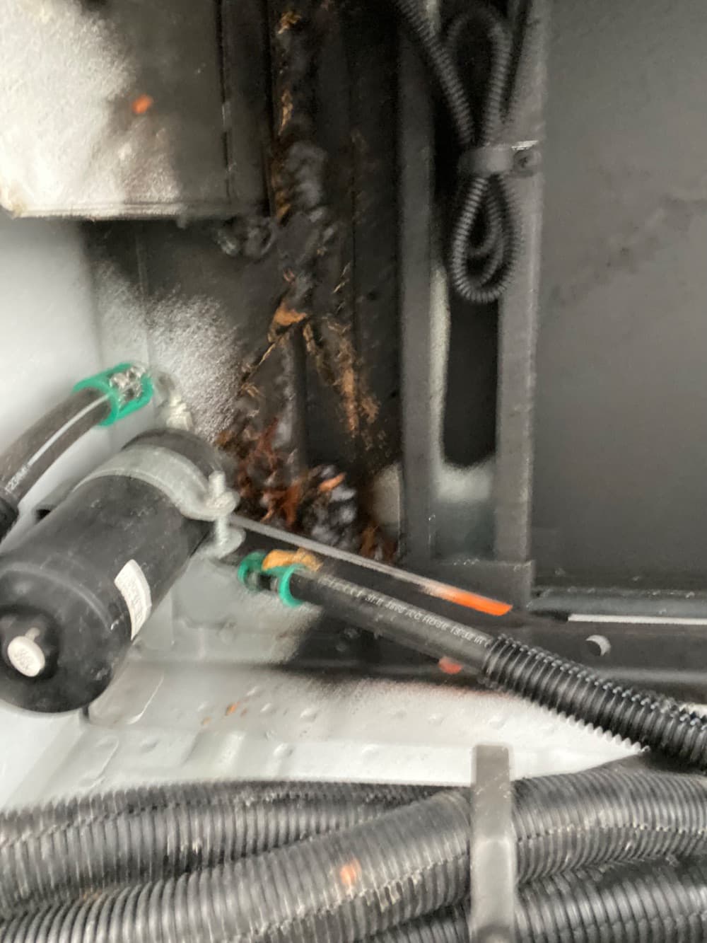 2023 Ford Collins - Thumbnail 11 2023 Ford Collins - Thumbnail 11