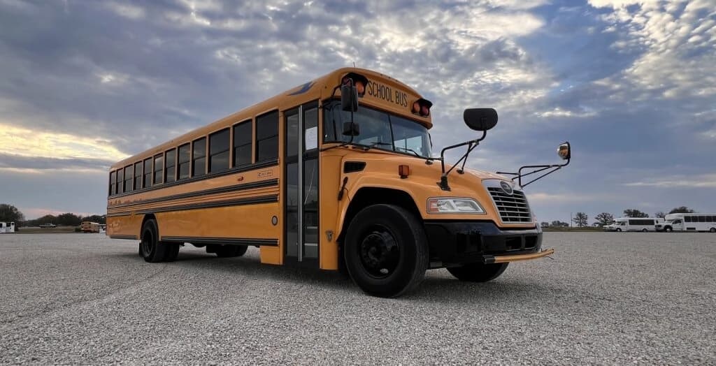 2019 BLUE BIRD VISION bus 2019 BLUE BIRD VISION bus