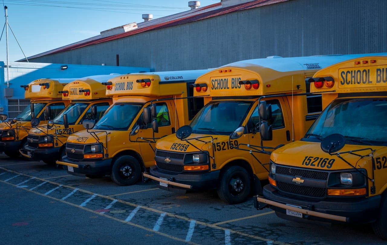 yellow school bus fleet parked.