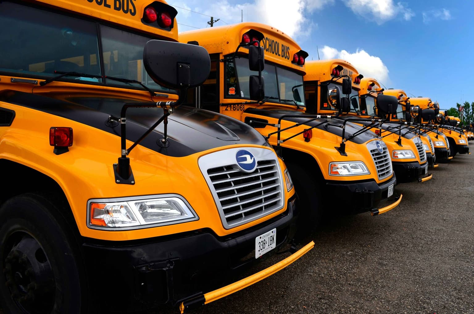 used school buses for sale in a row